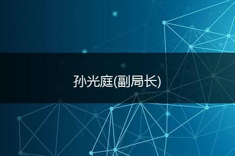 孙光庭(副局长)