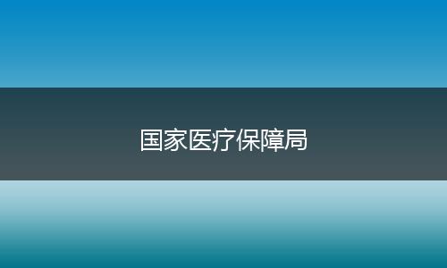 国家医疗保障局