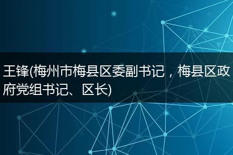 王锋(梅州市梅县区委副书记，梅县区政府党组书记、区长)