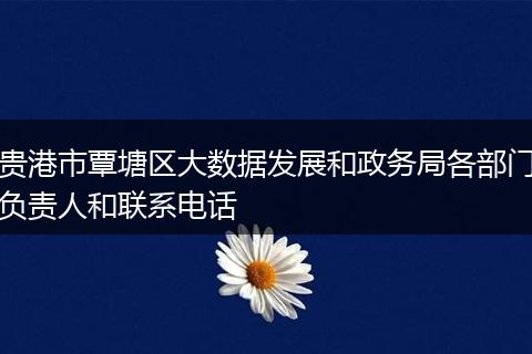 贵港市覃塘区大数据发展和政务局各部门负责人和联系电话