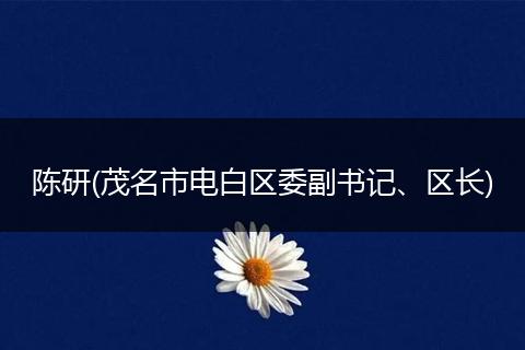 陈研(茂名市电白区委副书记、区长)