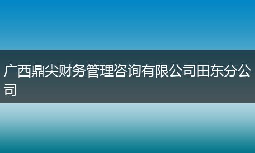 广西鼎尖财务管理咨询有限公司田东分公司