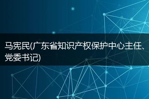 马宪民(广东省知识产权保护中心主任、党委书记)