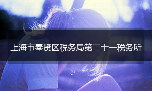 上海市奉贤区税务局第二十一税务所