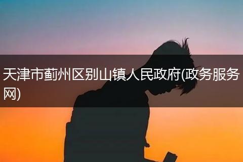 天津市蓟州区别山镇人民政府(政务服务网)