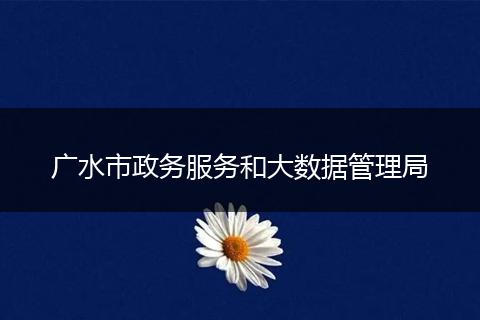 广水市政务服务和大数据管理局
