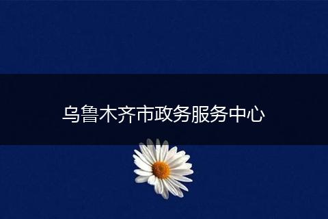 乌鲁木齐市政务服务中心