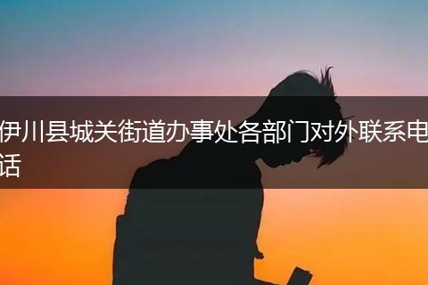 伊川县城关街道办事处各部门对外联系电话