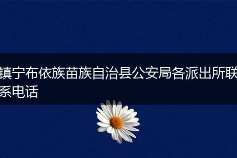 镇宁布依族苗族自治县公安局各派出所联系电话
