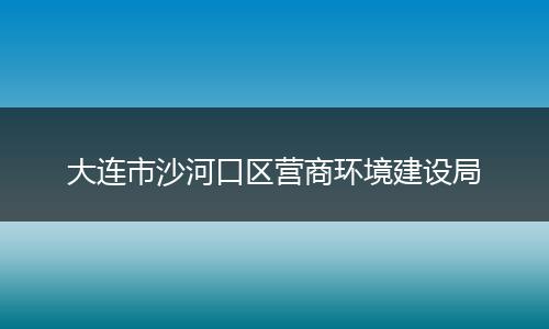 大连市沙河口区营商环境建设局