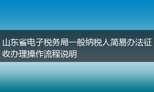 山东省电子税务局一般纳税人简易办法征收办理操作流程说明