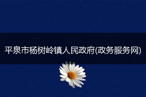 平泉市杨树岭镇人民政府(政务服务网)