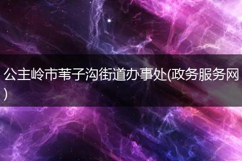 公主岭市苇子沟街道办事处(政务服务网)