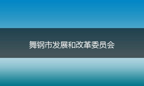 舞钢市发展和改革委员会