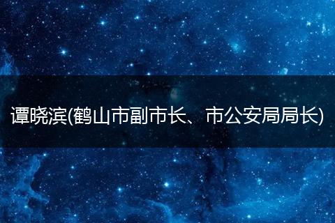 谭晓滨(鹤山市副市长、市公安局局长)