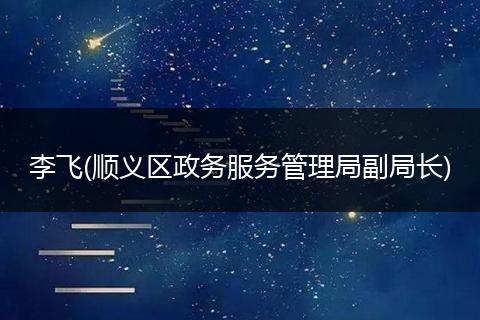 李飞(顺义区政务服务管理局副局长)