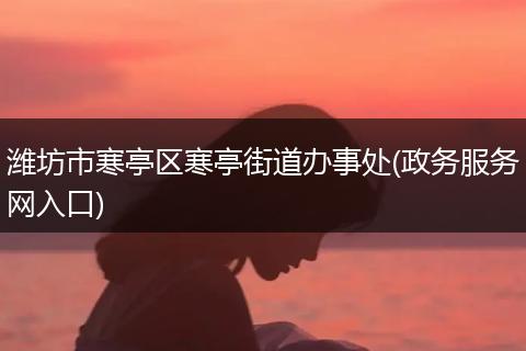 潍坊市寒亭区寒亭街道办事处(政务服务网入口)