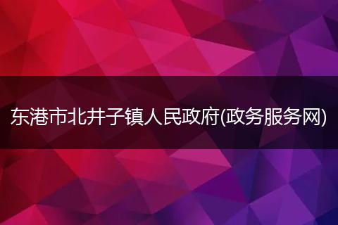 东港市北井子镇人民政府(政务服务网)