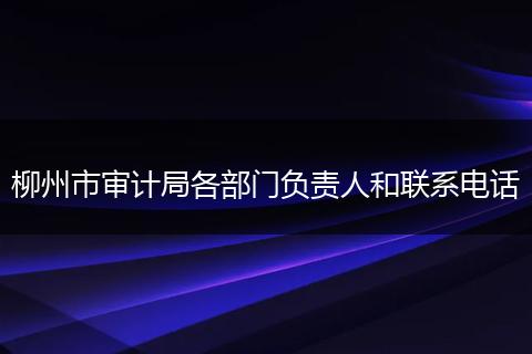柳州市审计局各部门负责人和联系电话