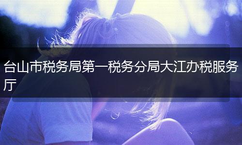 台山市税务局第一税务分局大江办税服务厅