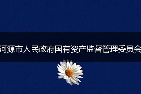 河源市人民政府国有资产监督管理委员会