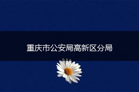 重庆市公安局高新区分局