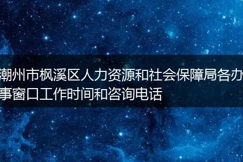 潮州市枫溪区人力资源和社会保障局各办事窗口工作时间和咨询电话