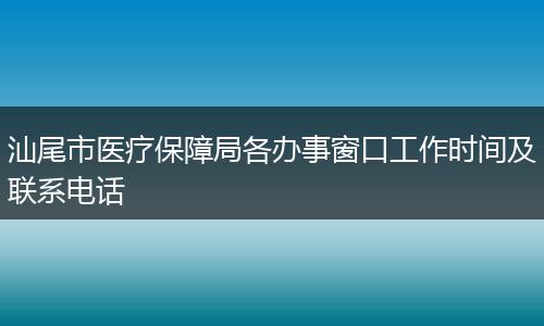 汕尾市医疗保障局各办事窗口工作时间及联系电话