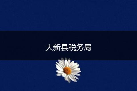 大新县税务局
