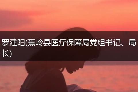 罗建阳(蕉岭县医疗保障局党组书记、局长)