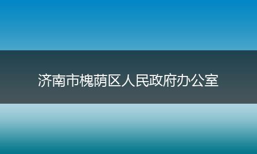济南市槐荫区人民政府办公室