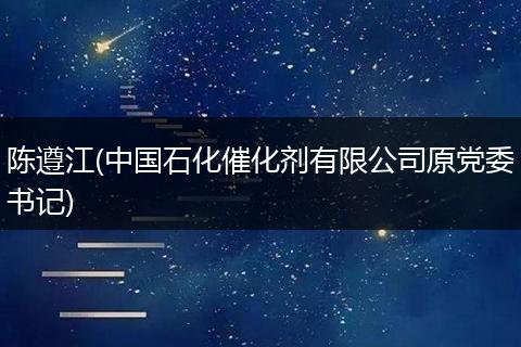 陈遵江(中国石化催化剂有限公司原党委书记)
