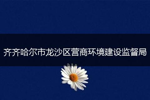 齐齐哈尔市龙沙区营商环境建设监督局