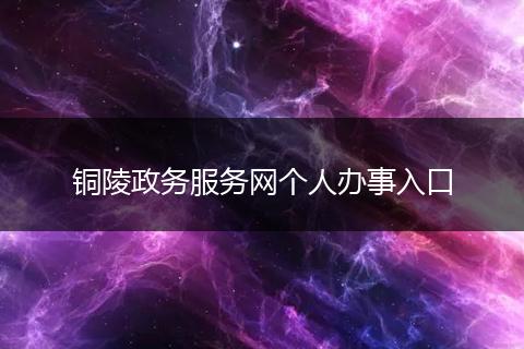 铜陵政务服务网个人办事入口