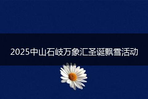 2025中山石岐万象汇圣诞飘雪活动