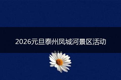 2026元旦泰州凤城河景区活动
