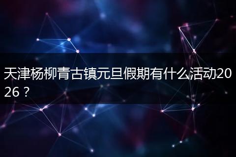 天津杨柳青古镇元旦假期有什么活动2026？