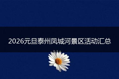 2026元旦泰州凤城河景区活动汇总