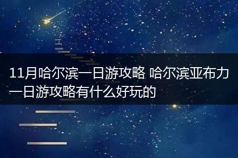11月哈尔滨一日游攻略 哈尔滨亚布力一日游攻略有什么好玩的