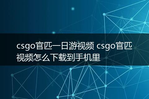csgo官匹一日游视频 csgo官匹视频怎么下载到手机里