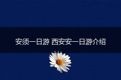 安须一日游 西安安一日游介绍