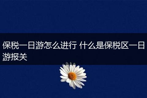 保税一日游怎么进行 什么是保税区一日游报关