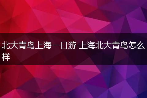 北大青鸟上海一日游 上海北大青鸟怎么样