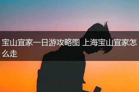 宝山宜家一日游攻略图 上海宝山宜家怎么走