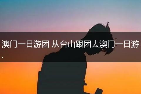 澳门一日游团 从台山跟团去澳门一日游.