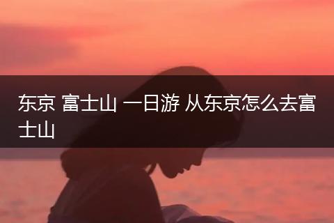 东京 富士山 一日游 从东京怎么去富士山