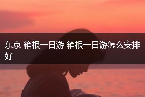 东京 箱根一日游 箱根一日游怎么安排好