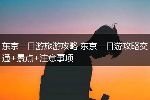 东京一日游旅游攻略 东京一日游攻略交通+景点+注意事项