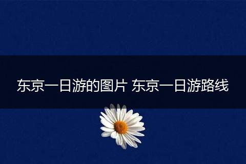 东京一日游的图片 东京一日游路线