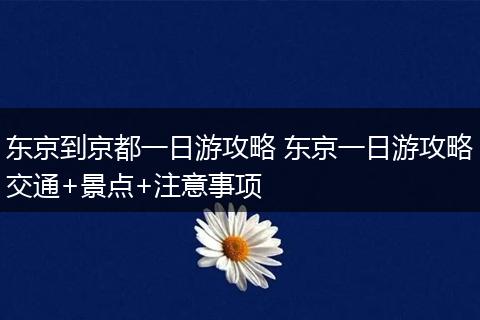 东京到京都一日游攻略 东京一日游攻略交通+景点+注意事项
